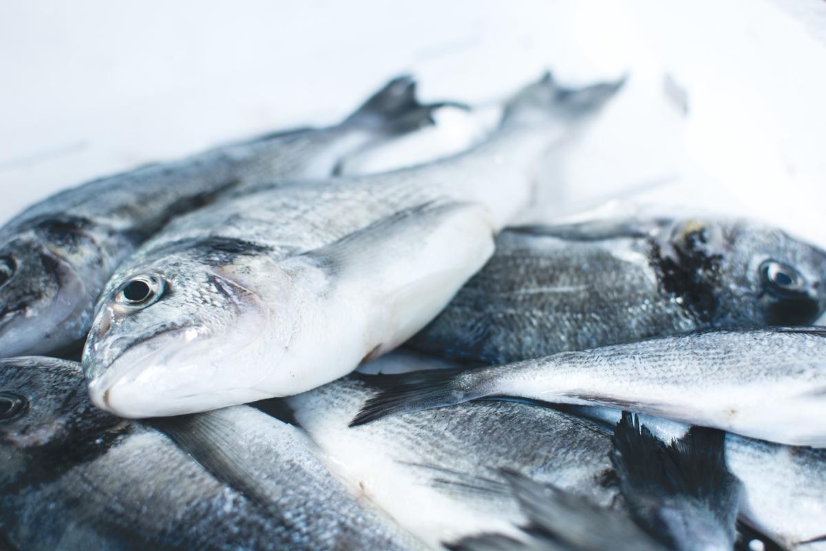 An image showing the different steps and precautions for safely handling raw fish for sushi preparation.